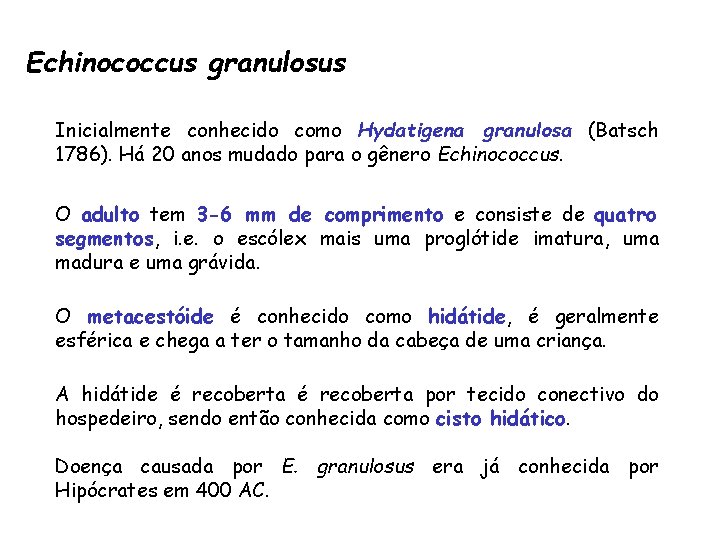 Echinococcus granulosus Inicialmente conhecido como Hydatigena granulosa (Batsch 1786). Há 20 anos mudado para