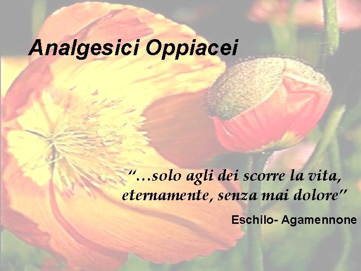 Analgesici Oppiacei “…solo agli dei scorre la vita, eternamente, senza mai dolore” Eschilo- Agamennone