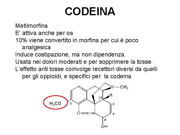 CODEINA Metilmorfina E’ attiva anche per os 10% viene convertito in morfina per cui