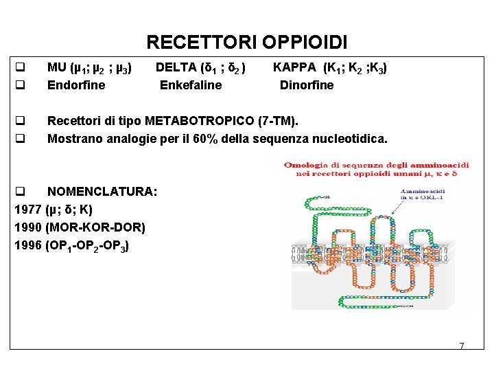 RECETTORI OPPIOIDI q q MU (µ 1; µ 2 ; µ 3) Endorfine q