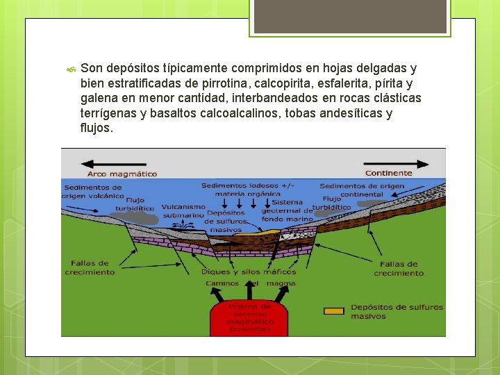  Son depósitos típicamente comprimidos en hojas delgadas y bien estratificadas de pirrotina, calcopirita,