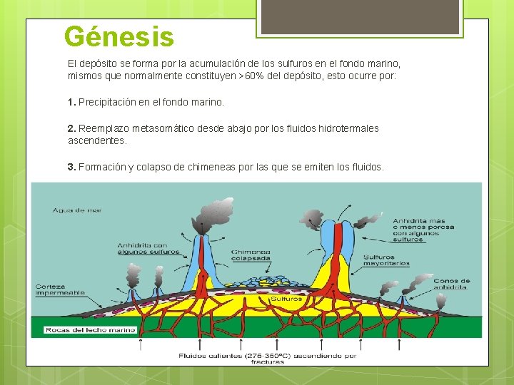 Génesis El depósito se forma por la acumulación de los sulfuros en el fondo