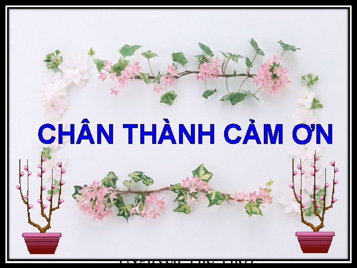 Xó chợ Chiếc lon trống Hạt mưa mồ côi (Nguyễn Thành Ngữ) CH N