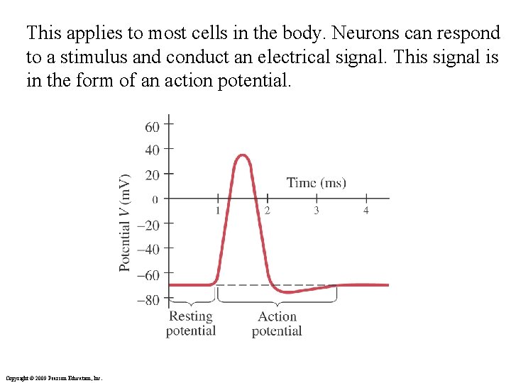 This applies to most cells in the body. Neurons can respond to a stimulus
