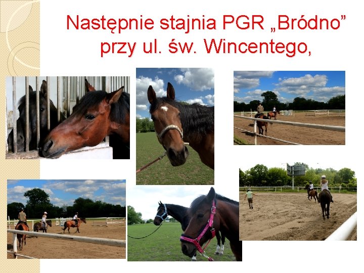 Następnie stajnia PGR „Bródno” przy ul. św. Wincentego, 