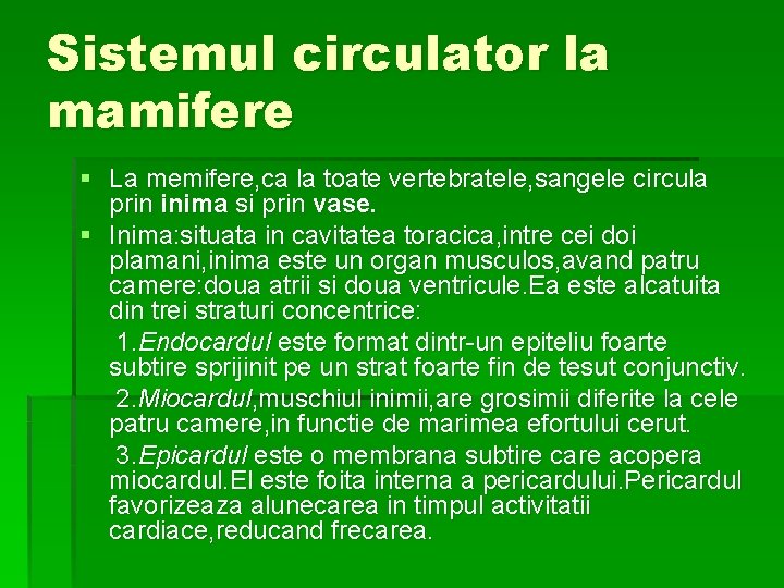 Sistemul circulator la mamifere § La memifere, ca la toate vertebratele, sangele circula prin
