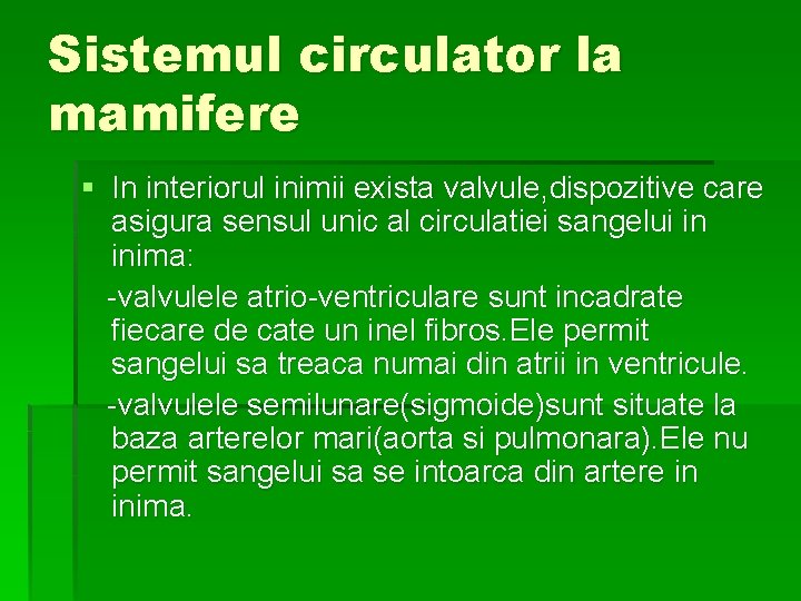 Sistemul circulator la mamifere § In interiorul inimii exista valvule, dispozitive care asigura sensul