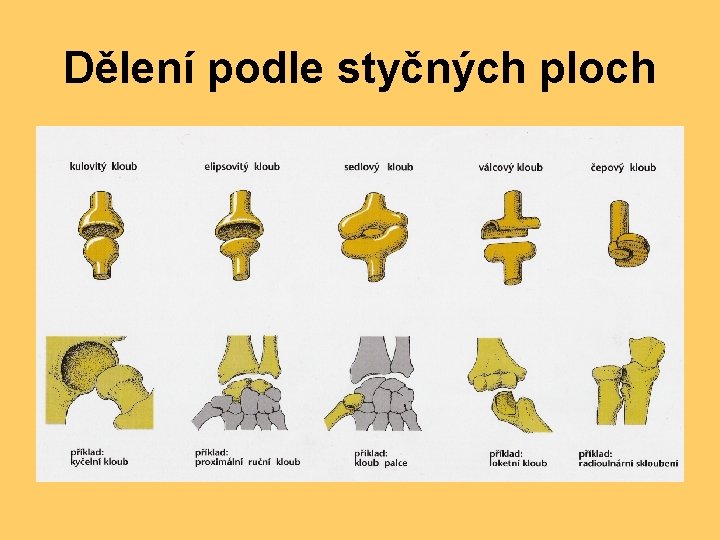 Dělení podle styčných ploch 