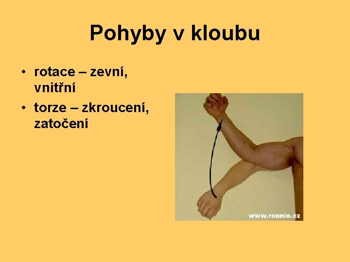 Pohyby v kloubu • rotace – zevní, vnitřní • torze – zkroucení, zatočení 