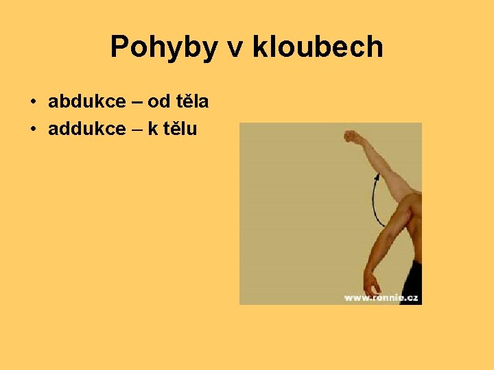 Pohyby v kloubech • abdukce – od těla • addukce – k tělu 