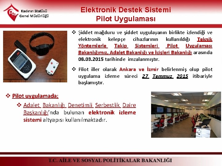 Kadının Statüsü Genel Müdürlüğü Elektronik Destek Sistemi Pilot Uygulaması v Şiddet mağduru ve şiddet