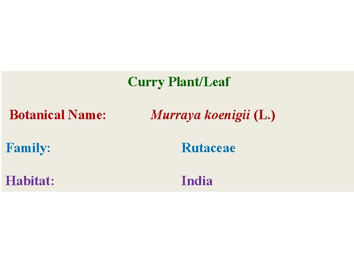 Curry Plant/Leaf Botanical Name: Murraya koenigii (L. ) Family: Rutaceae Habitat: India 