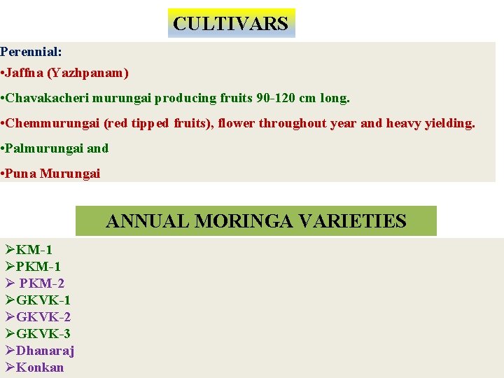 CULTIVARS Perennial: • Jaffna (Yazhpanam) • Chavakacheri murungai producing fruits 90 -120 cm long.