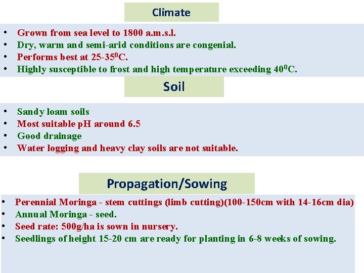 Climate • • Grown from sea level to 1800 a. m. s. l. Dry,