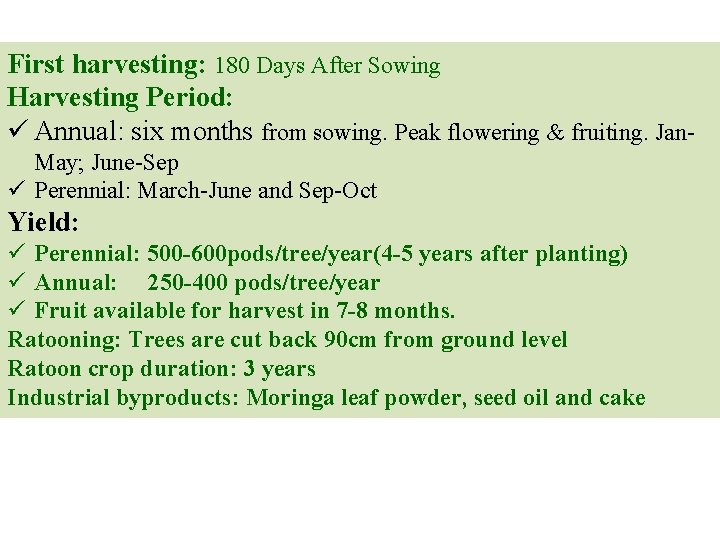 First harvesting: 180 Days After Sowing Harvesting Period: ü Annual: six months from sowing.