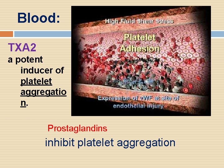 Blood: TXA 2 a potent inducer of platelet aggregatio n. Prostaglandins inhibit platelet aggregation