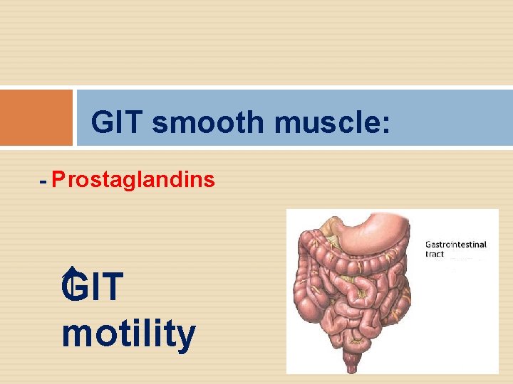 GIT smooth muscle: - Prostaglandins IT G motility 