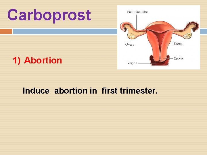 Carboprost 1) Abortion Induce abortion in first trimester. 