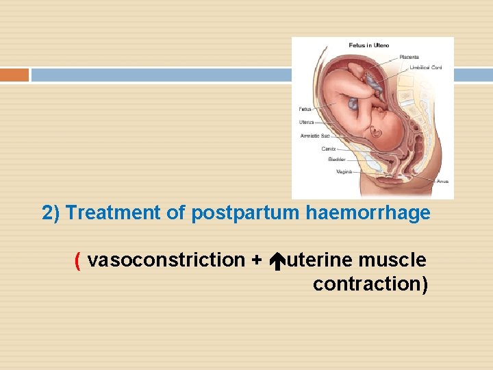 2) Treatment of postpartum haemorrhage ( vasoconstriction + uterine muscle contraction) 