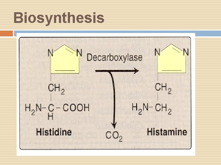 Biosynthesis 