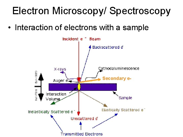 Electron Microscopy/ Spectroscopy • Interaction of electrons with a sample Secondary e- 