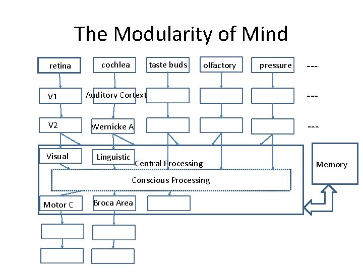 The Modularity of Mind retina V 1 V 2 Visual taste buds cochlea olfactory