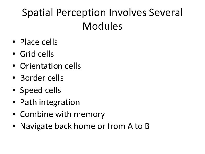 Spatial Perception Involves Several Modules • • Place cells Grid cells Orientation cells Border