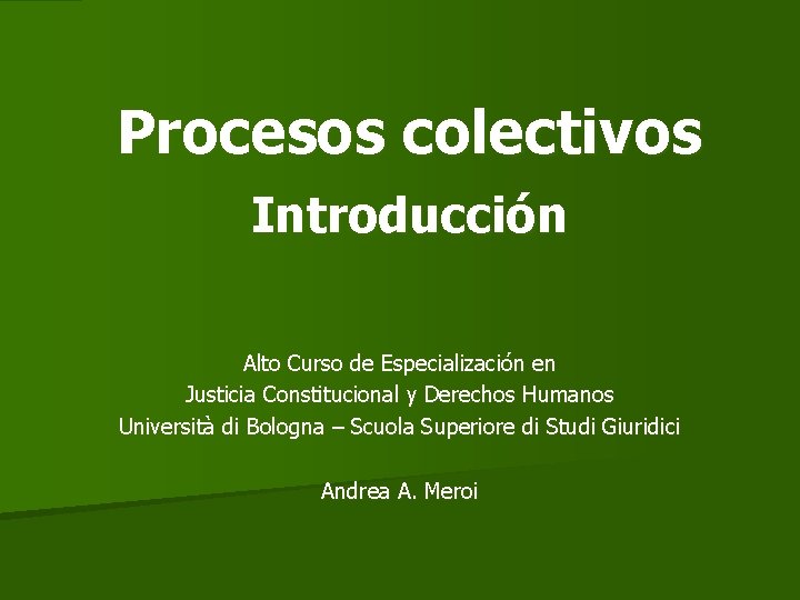 Procesos colectivos Introducción Alto Curso de Especialización en Justicia Constitucional y Derechos Humanos Università