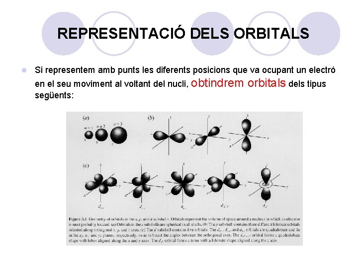 REPRESENTACIÓ DELS ORBITALS l Si representem amb punts les diferents posicions que va ocupant