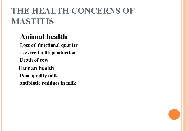 THE HEALTH CONCERNS OF MASTITIS Animal health Loss of functional quarter Lowered milk production THE HEALTH CONCERNS OF MASTITIS Animal health Loss of functional quarter Lowered milk production