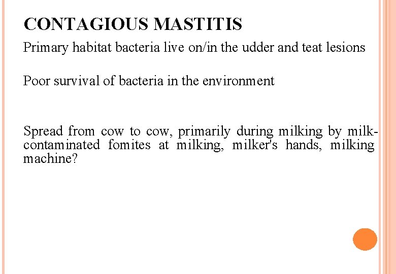CONTAGIOUS MASTITIS Primary habitat bacteria live on/in the udder and teat lesions Poor survival CONTAGIOUS MASTITIS Primary habitat bacteria live on/in the udder and teat lesions Poor survival