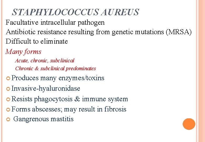 STAPHYLOCOCCUS AUREUS Facultative intracellular pathogen Antibiotic resistance resulting from genetic mutations (MRSA) Difficult to STAPHYLOCOCCUS AUREUS Facultative intracellular pathogen Antibiotic resistance resulting from genetic mutations (MRSA) Difficult to