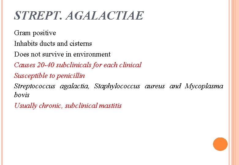 STREPT. AGALACTIAE Gram positive Inhabits ducts and cisterns Does not survive in environment Causes STREPT. AGALACTIAE Gram positive Inhabits ducts and cisterns Does not survive in environment Causes