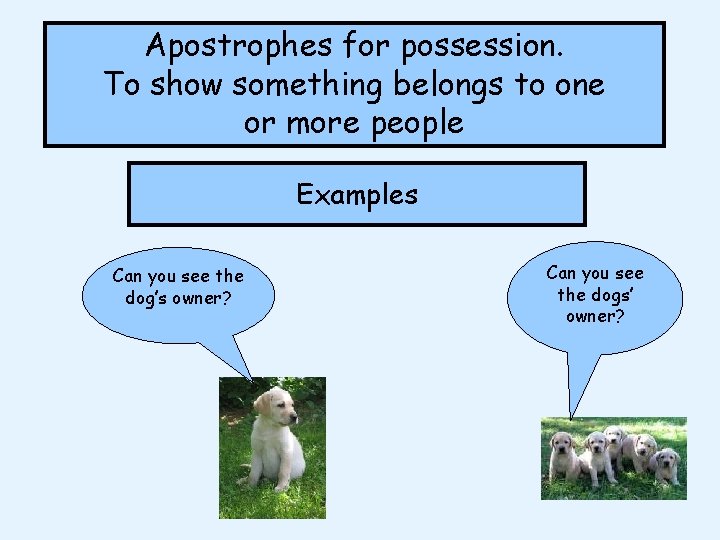 Apostrophes for possession. To show something belongs to one or more people Examples Can Apostrophes for possession. To show something belongs to one or more people Examples Can