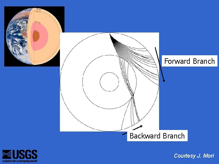 Forward Branch Backward Branch Courtesy J. Mori 