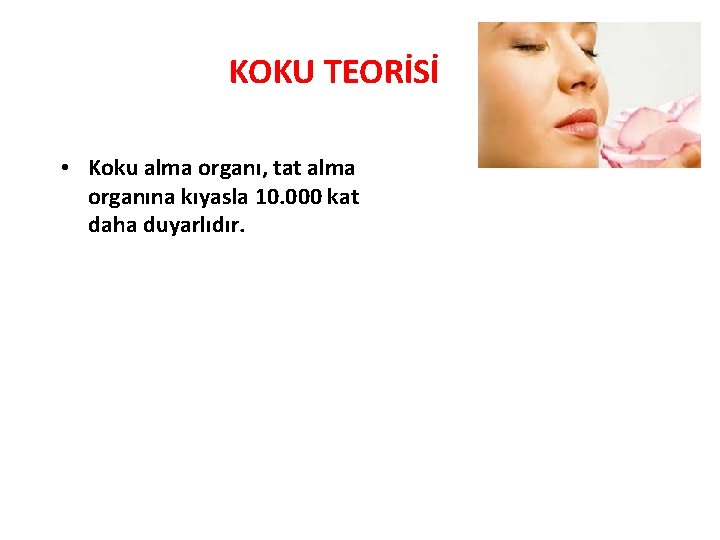KOKU TEORİSİ • Koku alma organı, tat alma organına kıyasla 10. 000 kat daha