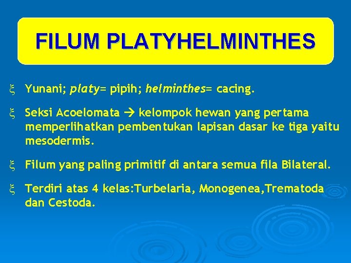 FILUM PLATYHELMINTHES ξ Yunani; platy= pipih; helminthes= cacing. ξ Seksi Acoelomata kelompok hewan yang