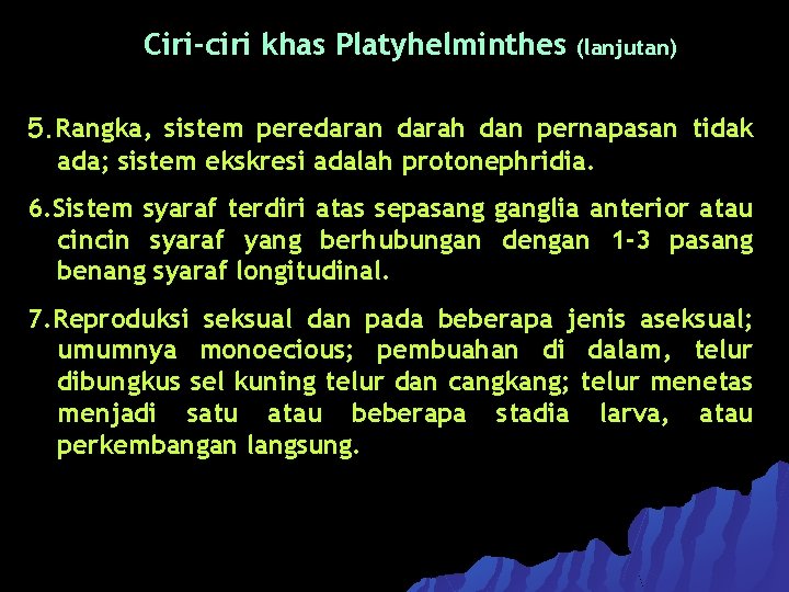 Ciri-ciri khas Platyhelminthes (lanjutan) 5. Rangka, sistem peredaran darah dan pernapasan tidak ada; sistem