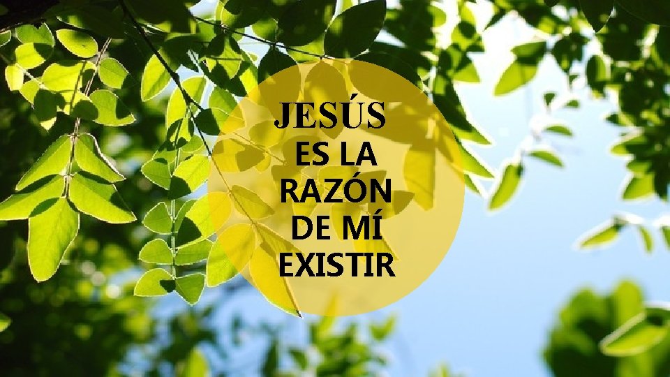 JESÚS ES LA RAZÓN DE MÍ EXISTIR 