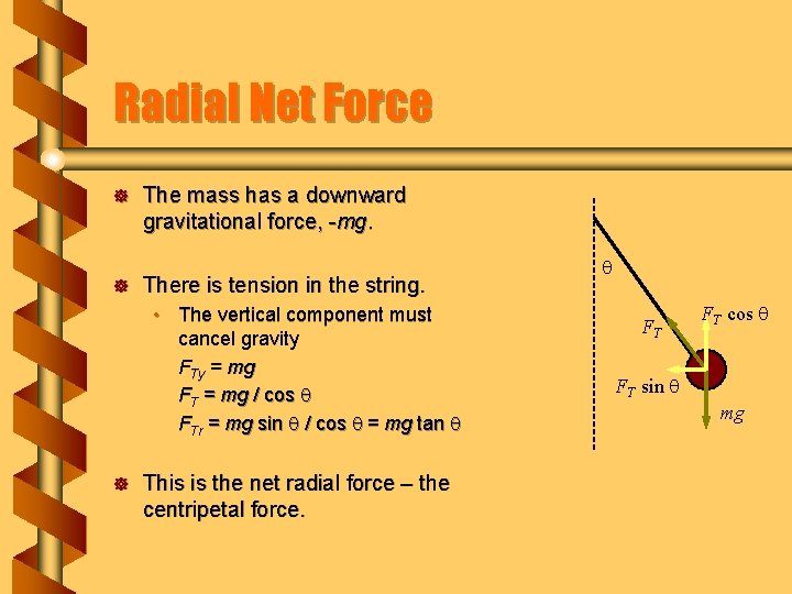 Radial Net Force ] ] The mass has a downward gravitational force, -mg. There