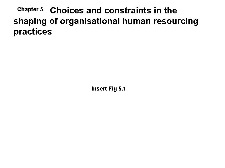 Choices and constraints in the shaping of organisational human resourcing practices Chapter 5 Insert Choices and constraints in the shaping of organisational human resourcing practices Chapter 5 Insert