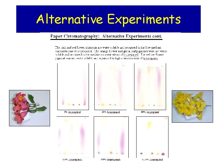 Alternative Experiments 