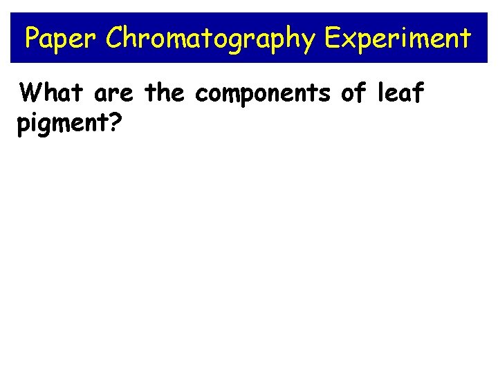 Paper Chromatography Experiment What are the components of leaf pigment? 