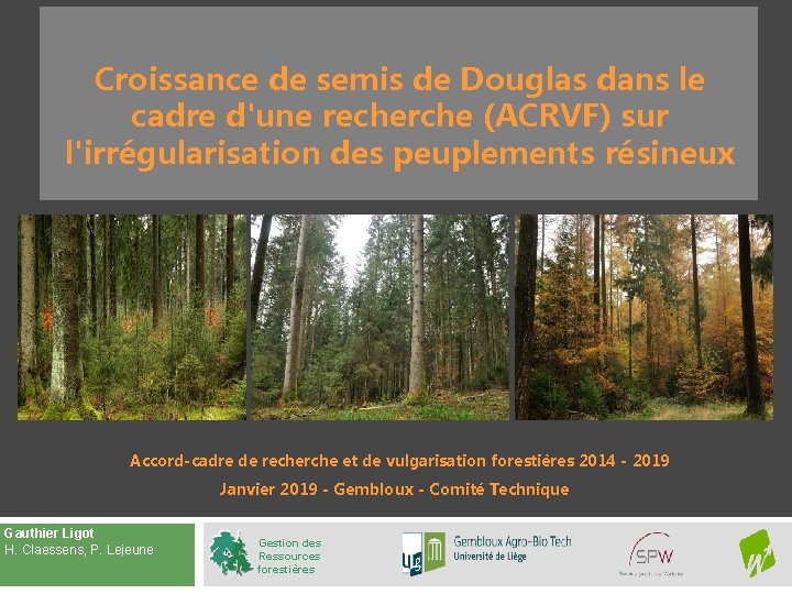 Croissance de semis de Douglas dans le cadre d'une recherche (ACRVF) sur l'irrégularisation des Croissance de semis de Douglas dans le cadre d'une recherche (ACRVF) sur l'irrégularisation des