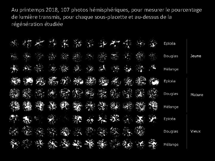 Au printemps 2018, 107 photos hémisphériques, pour mesurer le pourcentage de lumière transmis, pour Au printemps 2018, 107 photos hémisphériques, pour mesurer le pourcentage de lumière transmis, pour
