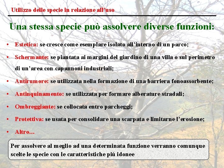 Utilizzo delle specie in relazione all’uso Una stessa specie può assolvere diverse funzioni: •