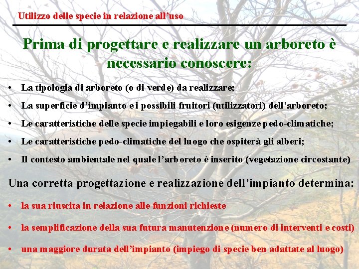 Utilizzo delle specie in relazione all’uso Prima di progettare e realizzare un arboreto è