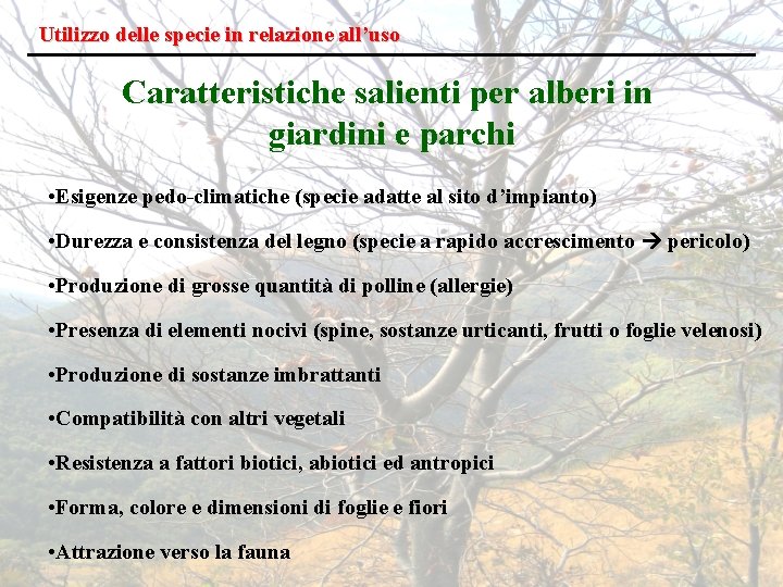 Utilizzo delle specie in relazione all’uso Caratteristiche salienti per alberi in giardini e parchi