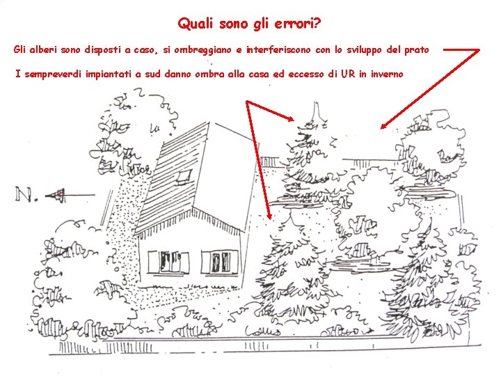 Quali sono gli errori? Gli alberi sono disposti a caso, si ombreggiano e interferiscono