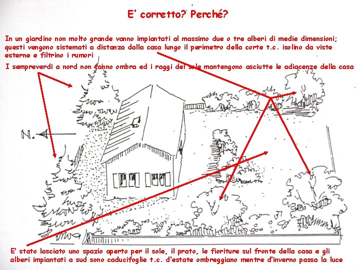 E’ corretto? Perché? In un giardino non molto grande vanno impiantati al massimo due